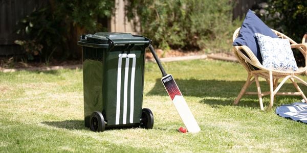 Image of completed pitch with a wheelie bin and bat with ball