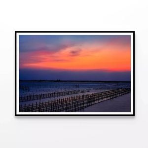 Row Oyster Field Sea at Sunset  Print 100% Australian Made 120x90cm  (Poster)