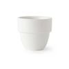 Acme Evolution Taster Cup - 6 Pack - 260ml