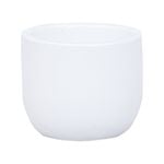 11 x 9cm White X Small Plain Ceramic Egg Pot - 110mm