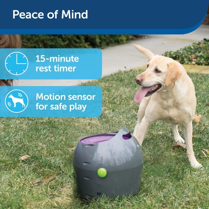 petsafe-automatic-ball-launcher-dog-toy-bunnings-australia