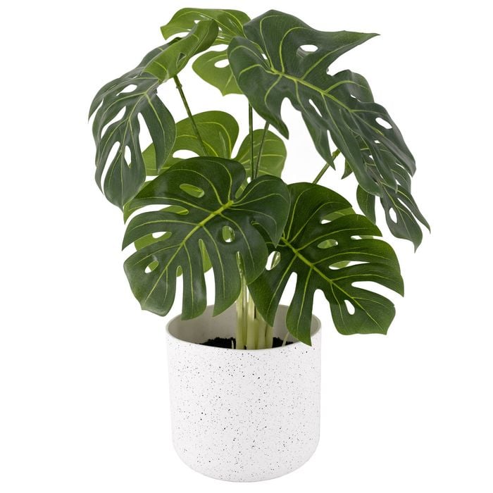 UN-REAL 35cm Monstera Artificial Plant