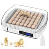 Advwin Automatic Egg Incubator 35 Eggs Hatcher
