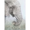 P&P Elephants Canvas Print - Elegant Modern Wall Art for Living Room, Bedroom & Office Decor 70x100cm