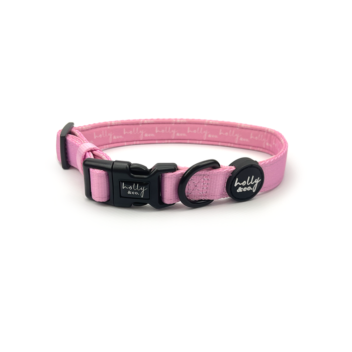 Holly & Co Posy Purple Extra Small Purple Stylish Dog Collar