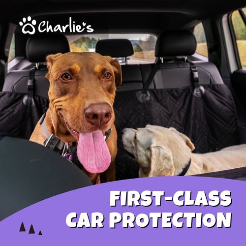 Charlie s Adventure Car Seat Protector for Dogs Back Seat