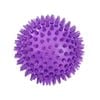 Paws & Claws TPR 9cm Spikey Ball Pet/Dog Puppy Chew/Tooth Teething Toy Assorted