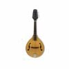 Axiom A-Style Mandolin
