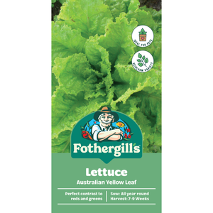 Fothergill's Australian Yellow Leaf Lettuce Heirloom Seeds