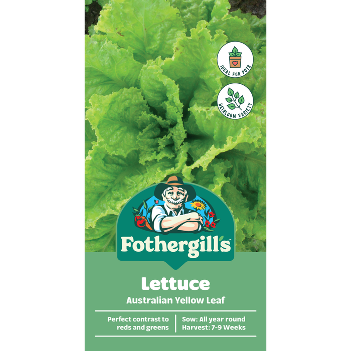 Fothergill's Australian Yellow Leaf Lettuce Heirloom Seeds