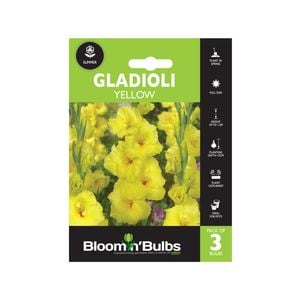 Bloomin' Bulbs Gladioli Yellow - 3 Pack