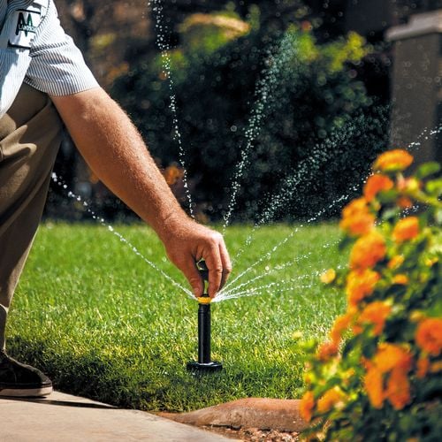 Person adjusting a pop-up sprinkler in a lawn with water spraying out
