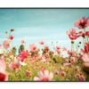 Cosmos Flower Blossom in Garden  Print 100% Australian Made 120x90cm  (Poster)