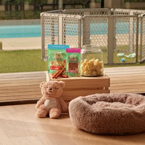 Pet food, bed and enclosure in room onto backyard