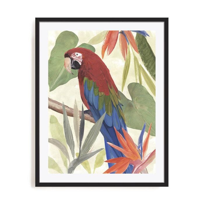 Artey | Tropical Parrot Composition III - Framed Print - Black Frame - 70 x 90cm
