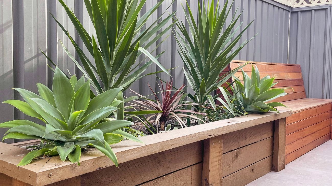 timber plant box with mature plants