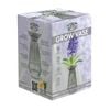 Mr Fothergill's Seed, Bulb & Cutting Glass Grow Vase