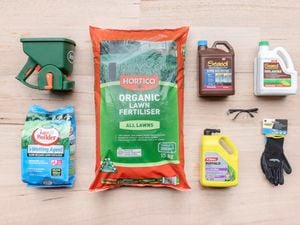 Lawn fertilisers