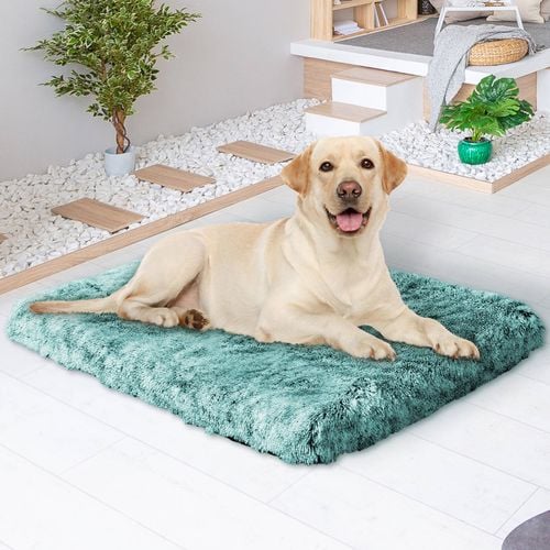 PaWz L Size 114x90x11cm Washable Pet Bed in Green Colour Bunnings Australia