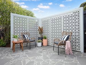 Outdoor setup with metal screen.