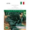 Johnsons Seed Kale Nero Di Toscana World Kitchen