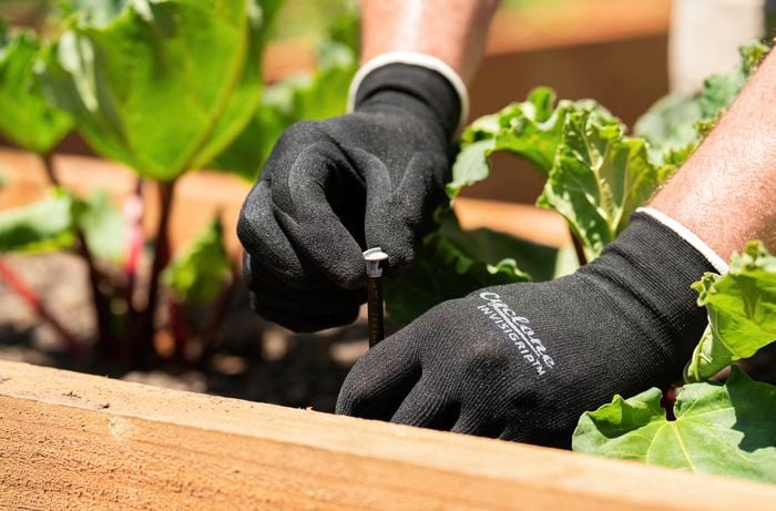A person wearing black gardening gloves is installing a sprayer in a raised garden bed among green leafy plants.