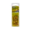 Zenith 8g x 38mm Brass Countersunk Head Wood Screws - 10 Pack