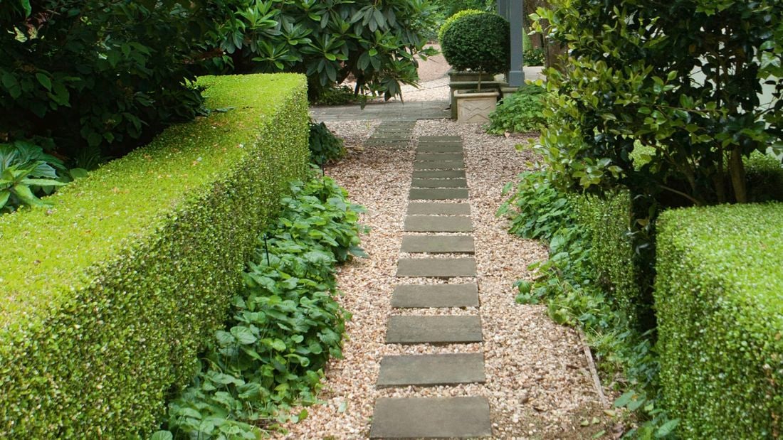 A manicured garden with a path of rectangular stepping stones and gravel, bordered by lush green hedges, shrubs and trees.