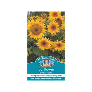 Mr Fothergill's Sunflower Sumo Sunny F1 Seeds