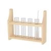 Plant Propagation Test Tube Stand