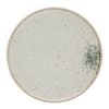 Olympia Anello Paint Stoneware Plates Raw Edge 255mm Pack of 4