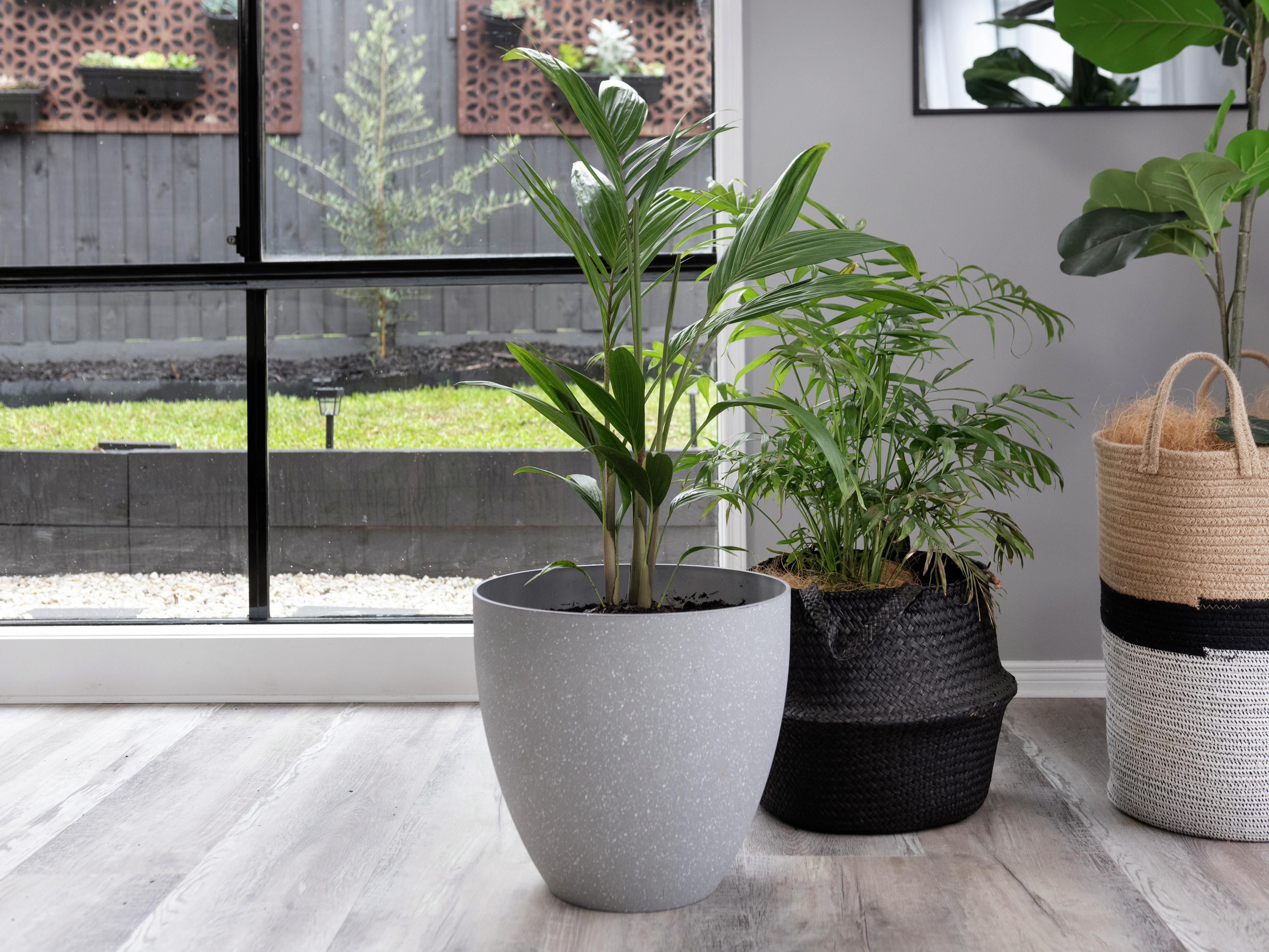 How To Pot A Plant Bunnings Australia