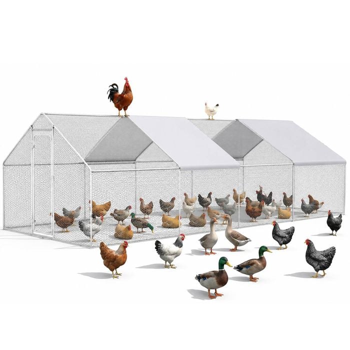 Advwin 300x600x196cm Large Chicken Coop Walk In Run Cage Rabbit Hutch