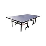 Xu Shao Fa 19mm Championship Table Tennis/Ping Pong Table - 50mm Metal Frames