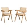Oikiture 2PC Dining Chair PE rattan Wooden