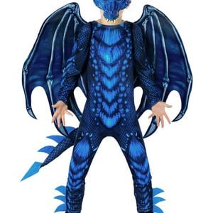 Mythical Deluxe Teen Boys Blue Dragon Costume - XLarge