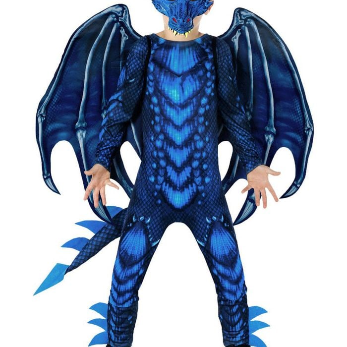 Mythical Deluxe Teen Boys Blue Dragon Costume - XLarge