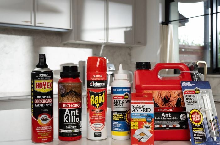Pest control products for ants, spiders, and cockroaches displayed on a countertop 