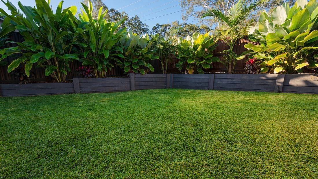 Spring into action: Your ultimate guide to lush lawn care