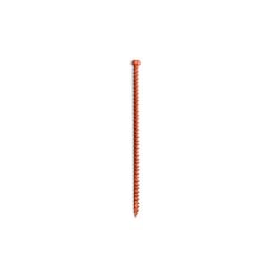 Simpson Strong-Tie 3.9 x 152mm SDWC Timber Structural Truss Screw - 50 Box