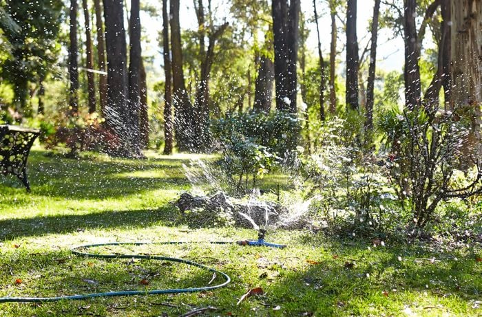Ground sprinkler whizzing a lot of water around.