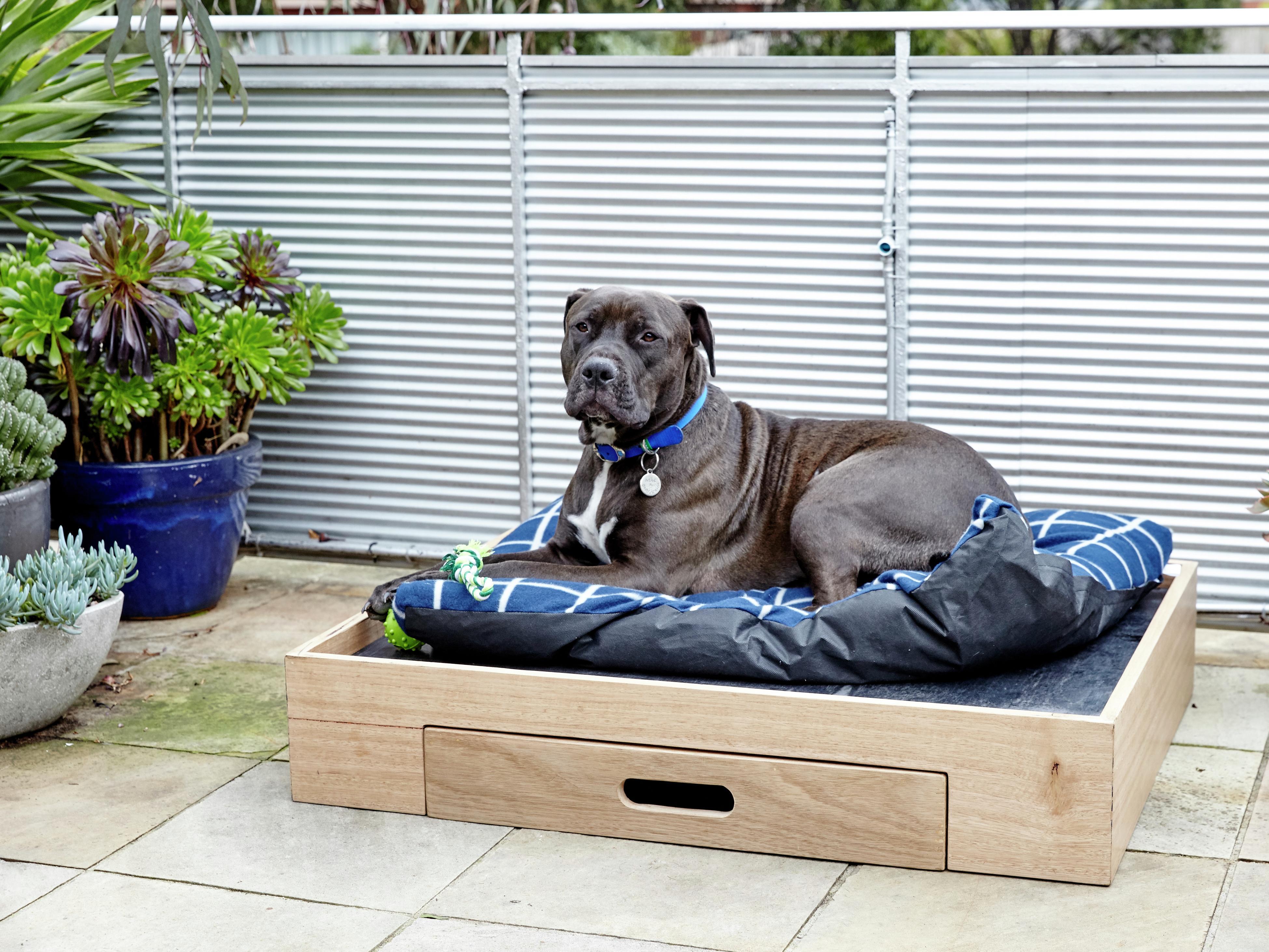 How To Make a D.I.Y. Dog Bed Bunnings Australia