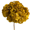 Blooms of Joy 50cm Canary Yellow Hydrangea