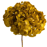 Blooms of Joy 50cm Canary Yellow Hydrangea