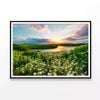 Lake & Wildflowers at Sunset  Print 100% Australian Made 120x90cm  (Poster)