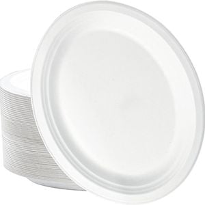 600pcs Disposable Sugarcane asse Oval Plates 26cm x 20cm Bulk