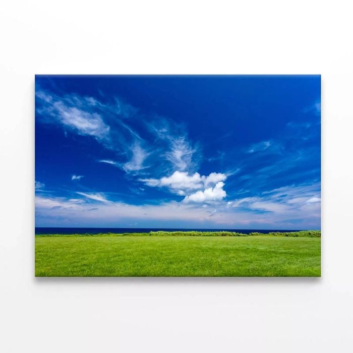 Coastline and Grassland  Print 100% Australian Made 90 x 60cm  (Stretched)