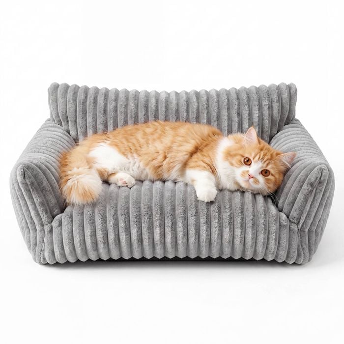 Advwin Pet Sofa Bed Cat Sofa Bed Couch