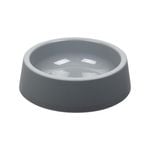 Cat Feeders & Bowls