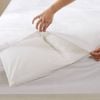 Bloomington Stain Resistant Quilt Protector King